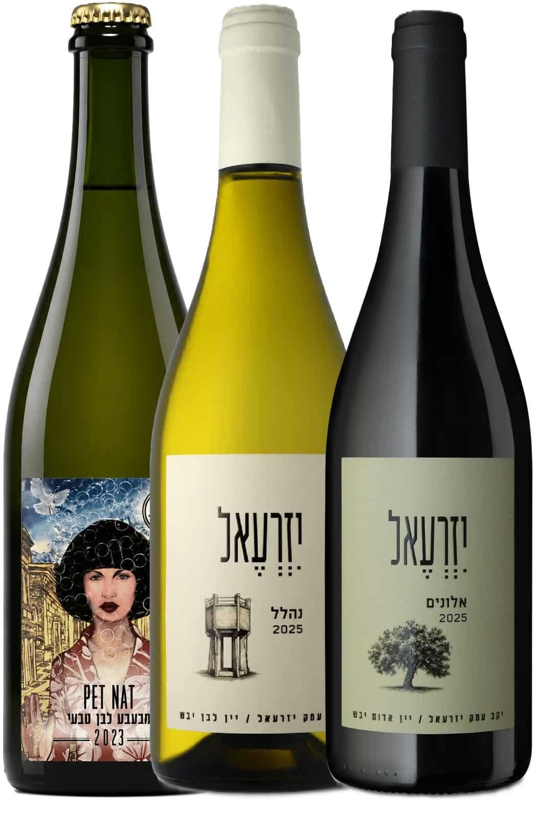 הכר את יקב עמק יזרעאל הכר את יקב עמק יזרעאל – תמונה 1