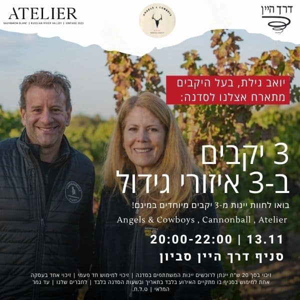 יאיר גילת (2) טעימה עם יואב גילת 13.11 סביון – תמונה 1
