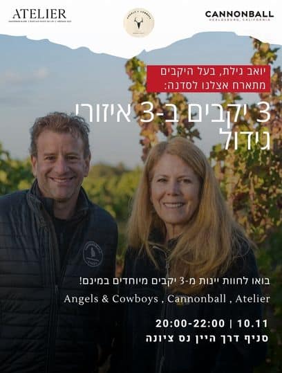 יואב גילת (2) 3 יקבים מ-3 איזורים – טעימה עם יואב גילת 10.11 נס ציונה – תמונה 1