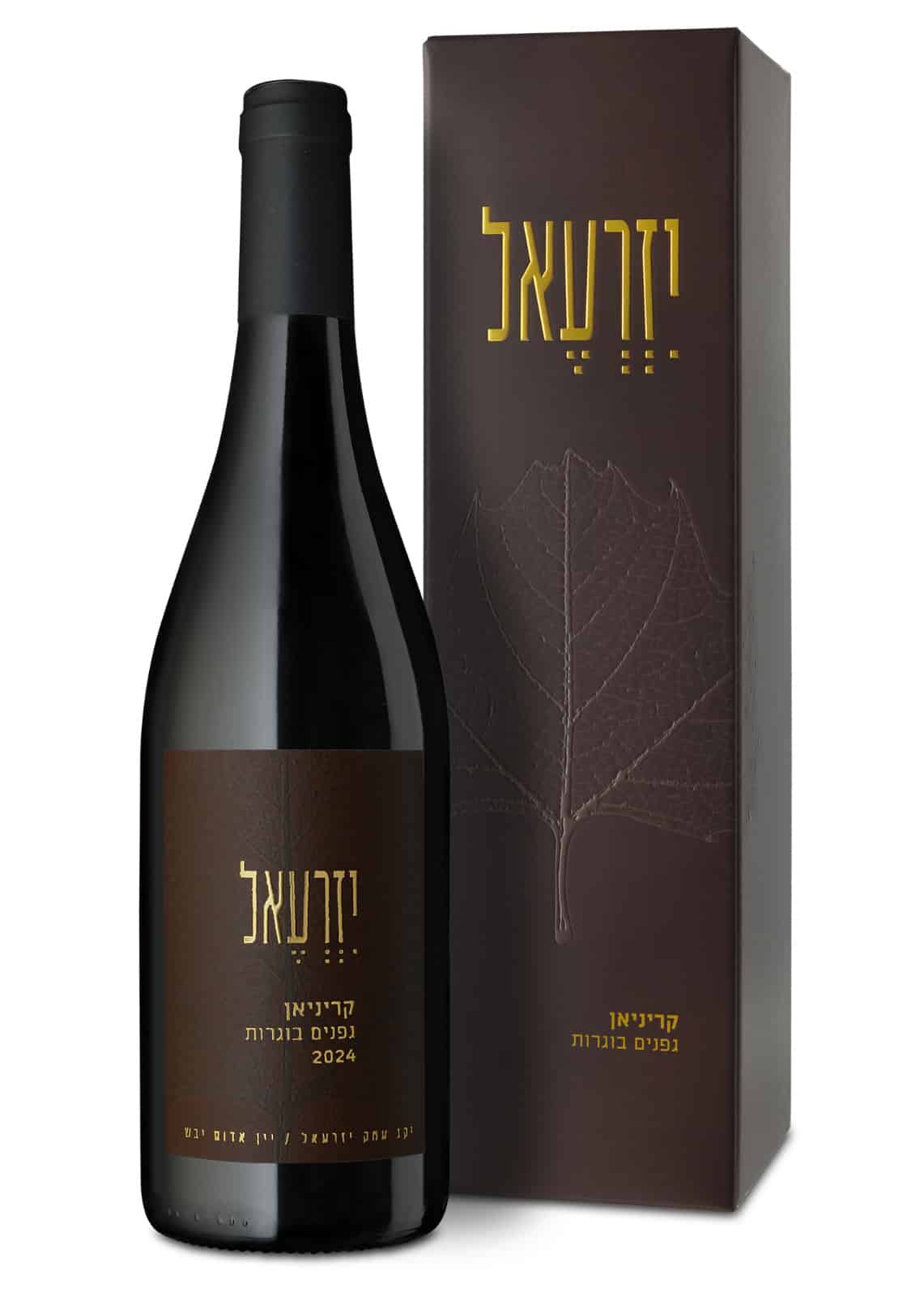 עמק יזרעאל קריניאן גפנים בוגרות עמק יזרעאל קריניאן גפנים בוגרות – תמונה 1