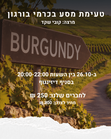 גודל אתר טעימת מסע בכרמי בורגון - 26.10 דיזינגוף – תמונה 1