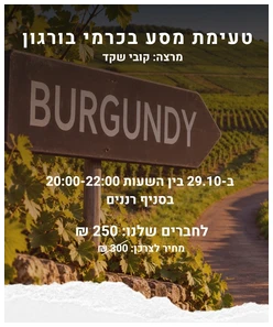 גודל אתר טעימת מסע בכרמי בורגון - 26.10 דיזינגוף – תמונה 1